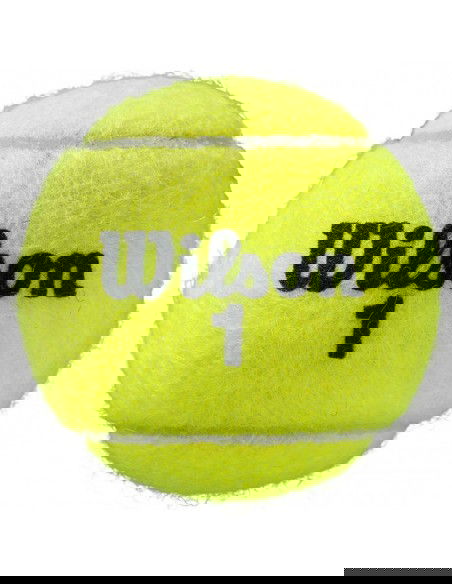Wilson Roland Garros All Court tennis balls 3 pcs WRT126400