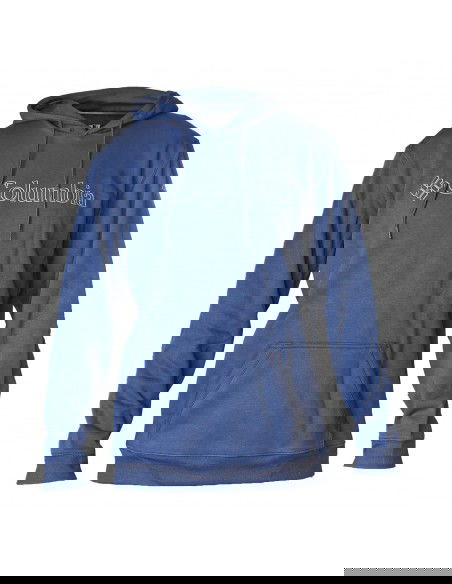 Columbia CSC Basic Logo II Hoodie 1681664492