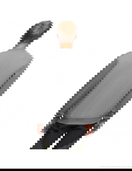 Alpinus Ανδρικό Φούτερ Γκρι BR18249