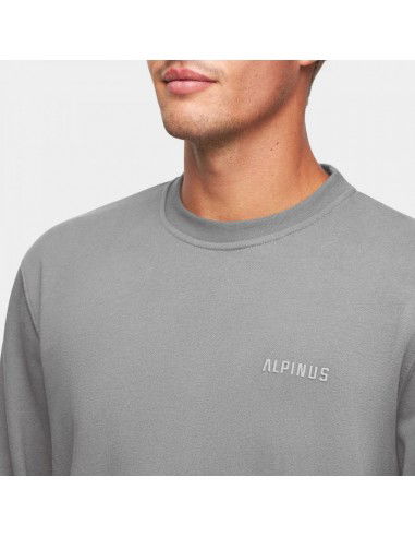 Alpinus Ανδρικό Φούτερ Γκρι BR18249
