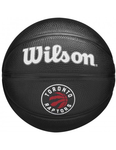 Wilson Team Tribute Toronto Raptors Mini Ball WZ4017608XB