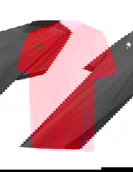 Puma teamGOAL 23 Jersey Jr Tshirt 704160 01