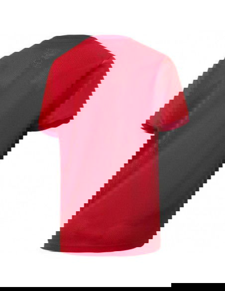 Puma teamGOAL 23 Jersey Jr Tshirt 704160 01