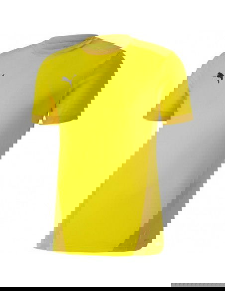 Puma teamGOAL 23 Jersey M 704171 07