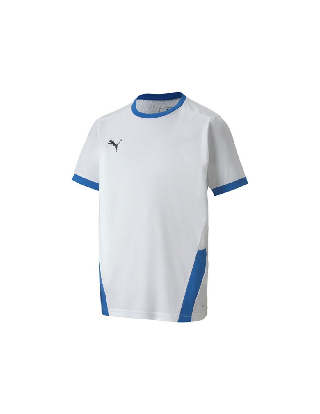 Puma teamGOAL 23 Jersey Jr Tshirt 704160 12