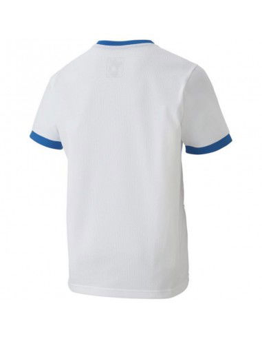 Puma teamGOAL 23 Jersey Jr Tshirt 704160 12