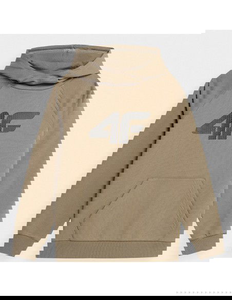 Sweatshirt 4F 4FJSS23TSWSM220 83S