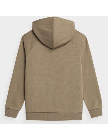 Sweatshirt 4F 4FJSS23TSWSM220 83S