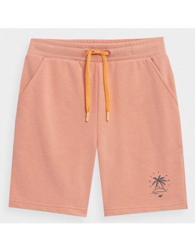 Shorts 4F 4FJSS23TSHOM047 64S
