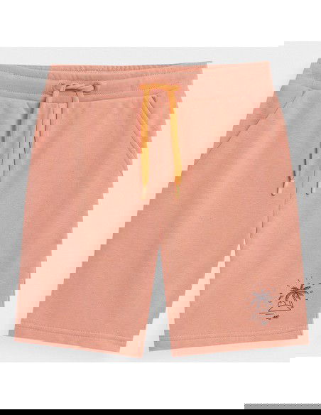 Shorts 4F 4FJSS23TSHOM047 64S