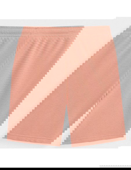 Shorts 4F 4FJSS23TSHOM047 64S