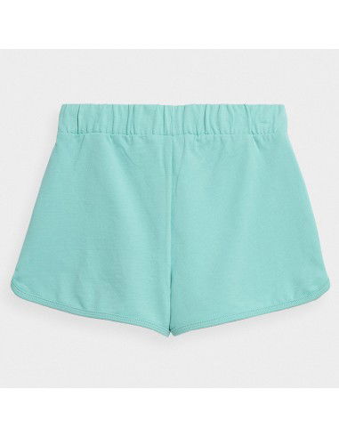 Shorts 4F 4FJSS23TSHOF099 47S
