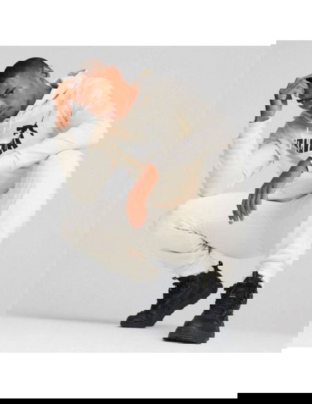 Puma ESS Big Logo Hoodie FL s Evening M 586687 87