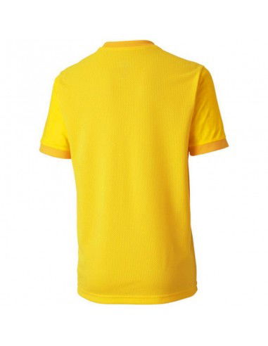 Puma teamGOAL 23 Jersey Jr Tshirt 704160 07
