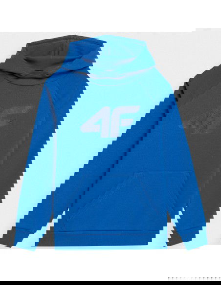 Sweatshirt 4F 4FJSS23TSWSM220 36S