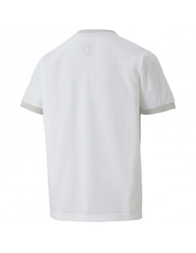 Puma teamGOAL 23 Jersey Jr Tshirt 704160 04