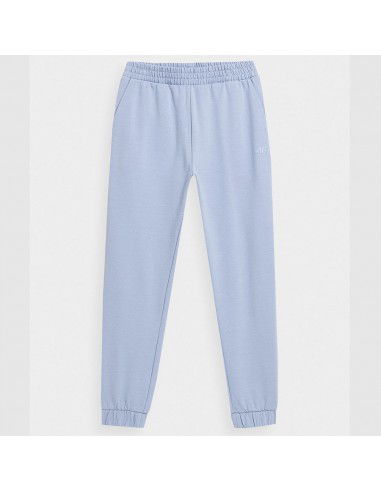 Trousers 4F 4FJSS23TTROF158 34S