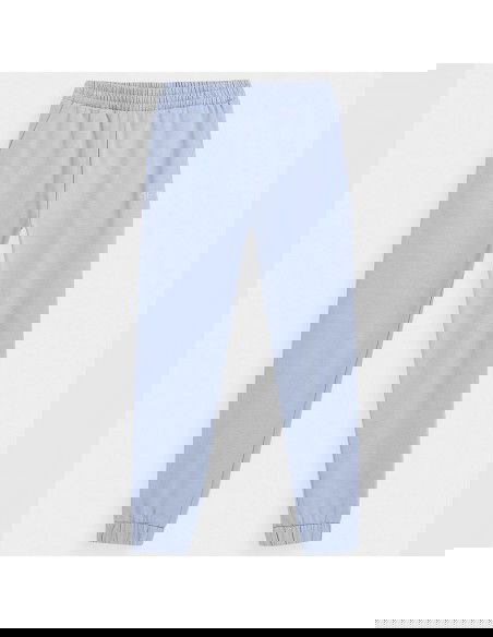 Trousers 4F 4FJSS23TTROF158 34S