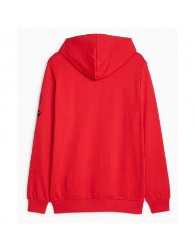 Puma Ανδρικό Φούτερ με Κουκούλα Κόκκινο 772316-01