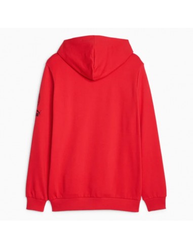 Puma Ανδρικό Φούτερ με Κουκούλα Κόκκινο 772316-01