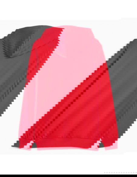 Puma Ανδρικό Φούτερ με Κουκούλα Κόκκινο 772316-01