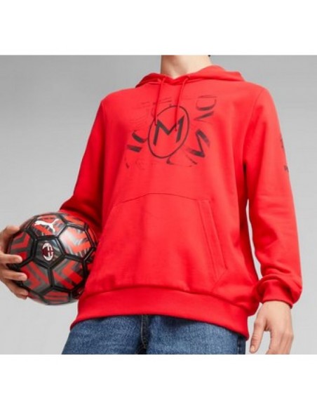 Puma Ανδρικό Φούτερ με Κουκούλα Κόκκινο 772316-01