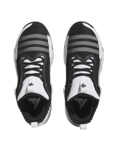 Adidas Trae Unlimited HQ1020 shoes