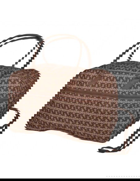 A set of travel bags