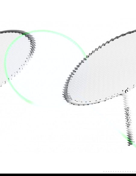 Badminton set Teloon SMJ 2 rackets TL301 cover
