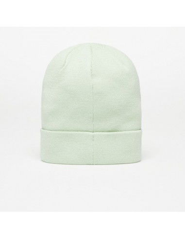 Nike Beanie Unisex Σκούφος Πλεκτός σε Γκρι χρώμα FB6527-343