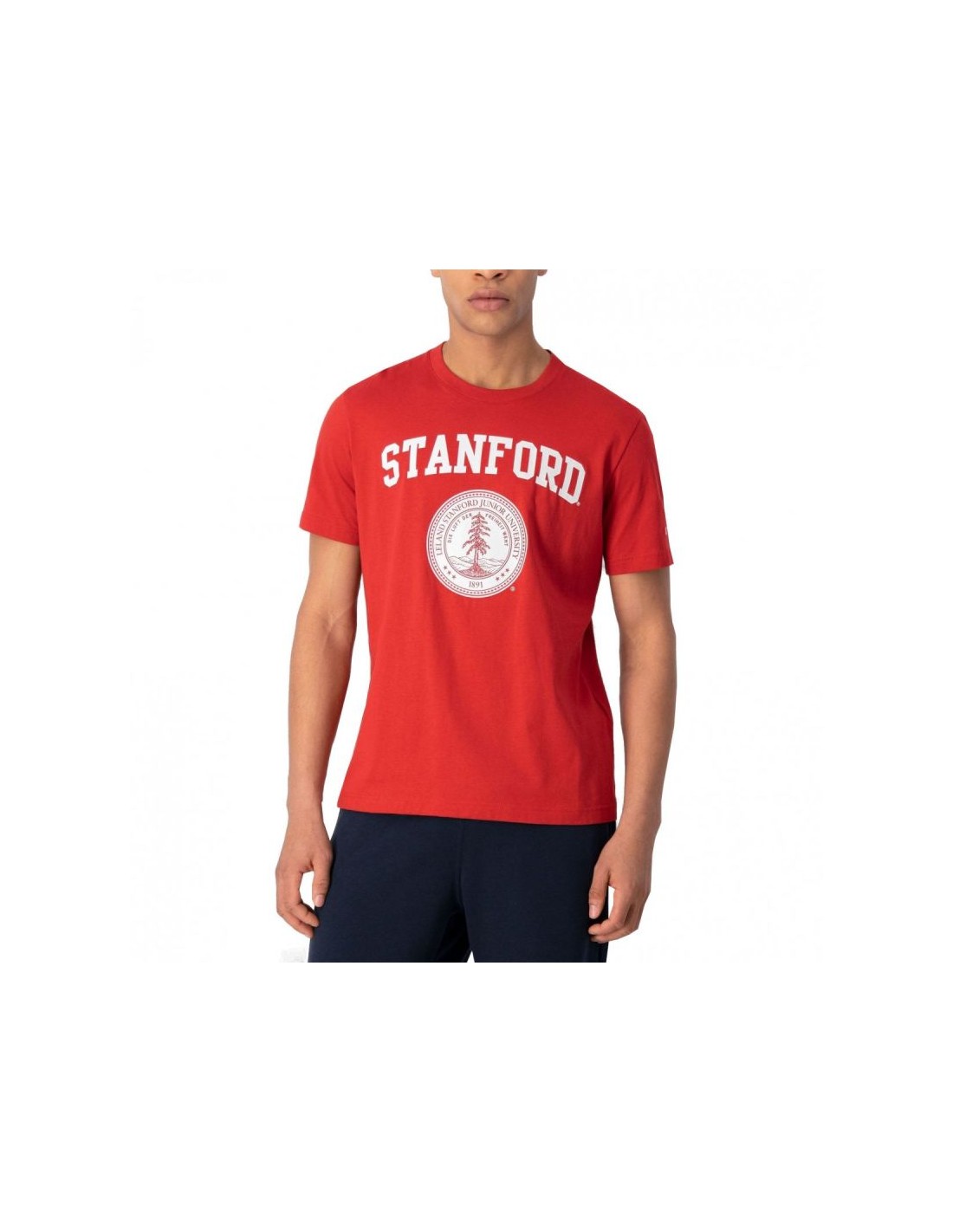 Stanford champion crewneck on sale