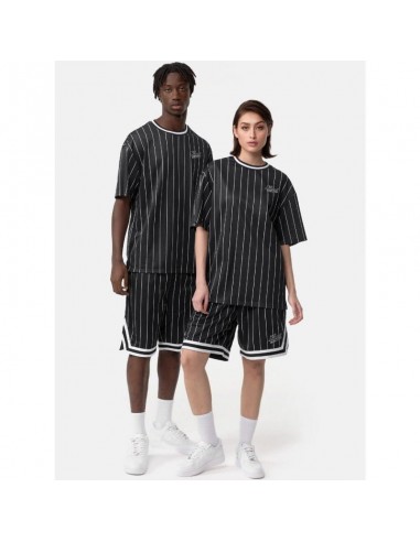 KARL KANI◆カールカナイ Chest Varsity Pinstripe Mesh Tee /LB Karl Kani Chest Varsity Pinstripe Mesh Tee Light M 6038524