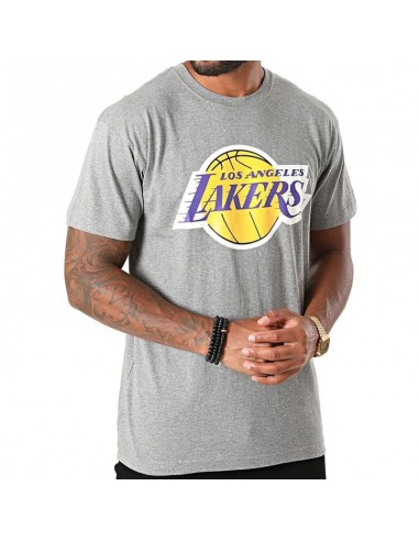 Mitchell Ness NBA Los Angeles Lakers Team Logo Tee M BMTRINTL1268LALGYML