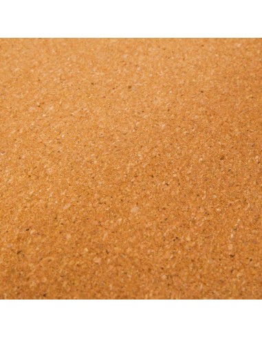 Spokey Nidra SPK943415 cork yoga cube