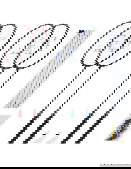 SMJ sport TL001 badminton set