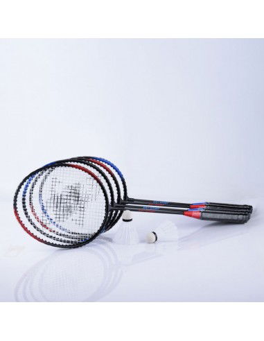 SMJ sport TL001 badminton set