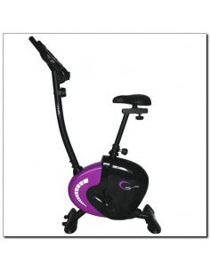 Magnetic bike purple HMS M9239V