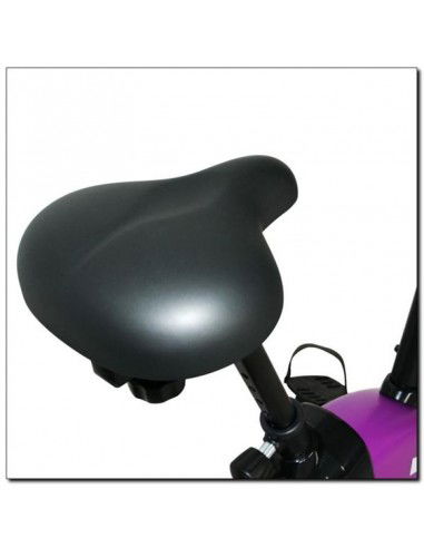 Magnetic bike purple HMS M9239V