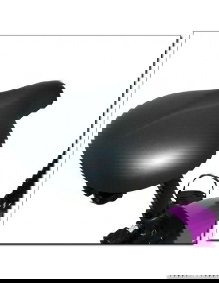 Magnetic bike purple HMS M9239V