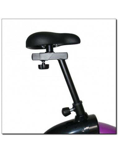 Magnetic bike purple HMS M9239V