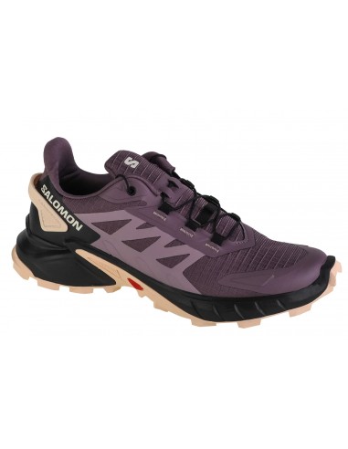Salomon Alphacross 4 L47205200 Γυναικεία Αθλητικά Παπούτσια Trail Running Moonspace / Black / Peach