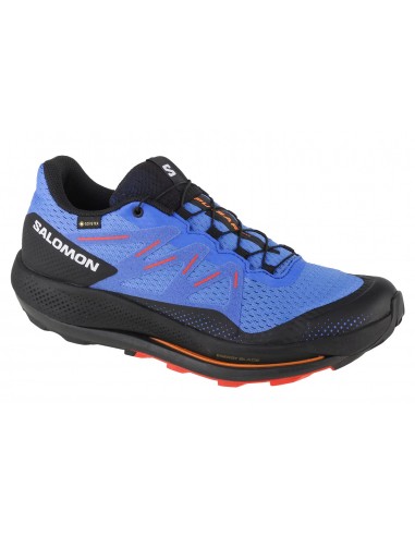 Ανδρικά > Παπούτσια > Παπούτσια Αθλητικά > Τρέξιμο / Προπόνησης Salomon Pulsar Trail GTX 416080
