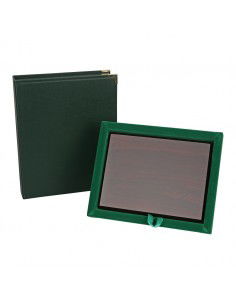 Green case with backing