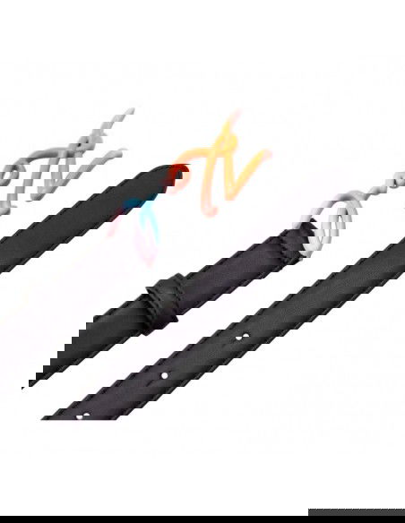 Karl Lagerfeld KSignature Rainbow W 225W3157 belt