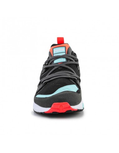 Puma Blaze Glory Reverse Classics Ανδρικά Chunky Sneakers Μαύρα 383532-01