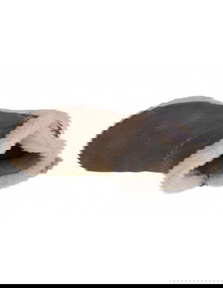 Rieker Γυναικεία Μποτάκια Καφέ M6050-64