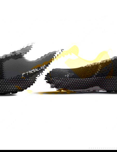 Running shoes Under Armour U HOVR DS Ridge TR M 3025852-003