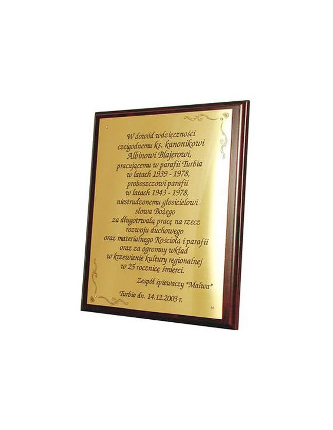 Men's Sports Shoes Tryumf Brown