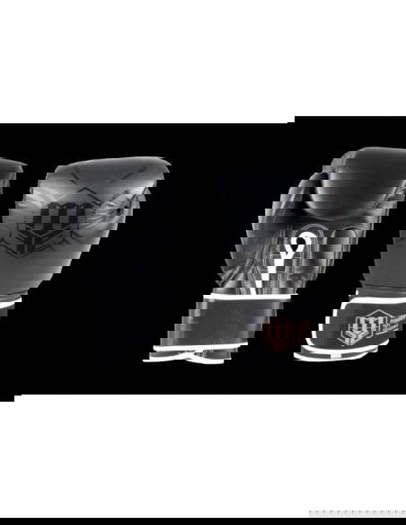 Boxing gloves Masters RbtBlack 12 oz 018051201