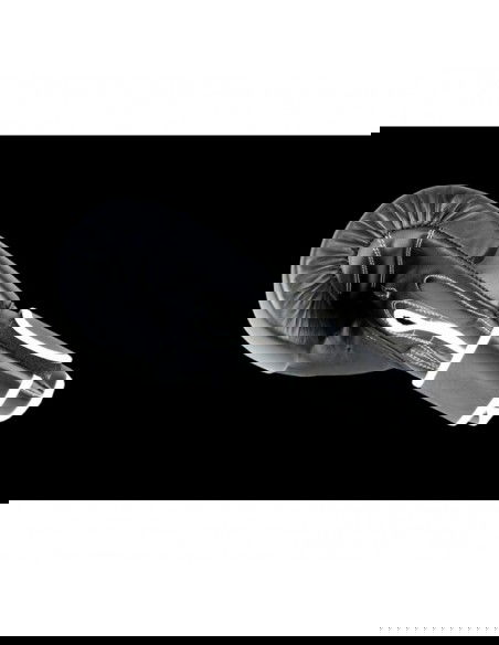 Boxing gloves Masters RbtBlack 12 oz 018051201